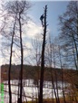 orezy-podel-vedeni-vysokeho-napeti-004.jpg