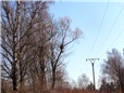 orezy-podel-vedeni-vysokeho-napeti-005.jpg