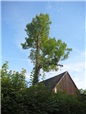 postupne-kaceni-nad-strechou-za-pomoci-lanove-techniky-007.jpg