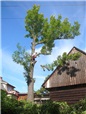 postupne-kaceni-nad-strechou-za-pomoci-lanove-techniky-008.jpg
