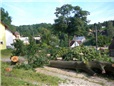 postupne-kaceni-u-domu-nad-nn-rozlomena-lipa-po-vychrici-016.jpg