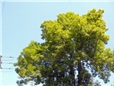 prace-pro-energetiku-005.jpg