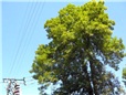 prace-pro-energetiku-006.jpg