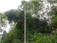 rizikove-kaceni-briz-spadlych-na-nn-po-vychrici-002.jpg