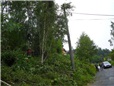 rizikove-kaceni-briz-spadlych-na-nn-po-vychrici-012.jpg