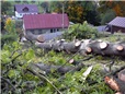 rizikove-kaceni-obriho-jasanu-u-domu-silnice-a-elektrickeho-vedeni-030.jpg