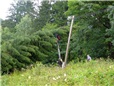smrk-polozeny-v-dratech-vn-po-vychrici-003.jpg