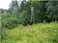 smrk-polozeny-v-dratech-vn-po-vychrici-005.jpg