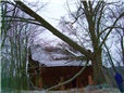 stara-rozpadla-lipa-002.jpg