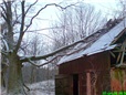 stara-rozpadla-lipa-004.jpg