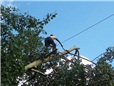topol-polozeny-v-dratech-vn-po-vychrici-012.jpg