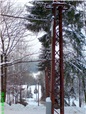 zcela-prorostle-draty-vedeni-nizkeho-napeti-007.jpg