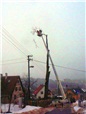 kaceni-lipy-pomoci-plosiny-liberec-012.jpg
