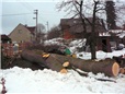 kaceni-lipy-pomoci-plosiny-liberec-016.jpg