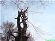 metoda-postupneho-kaceni-003.jpg