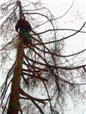 metoda-postupneho-kaceni-005.jpg