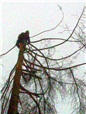 metoda-postupneho-kaceni-008.jpg