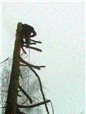 metoda-postupneho-kaceni-009.jpg