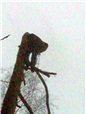 metoda-postupneho-kaceni-010.jpg