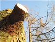 metoda-postupneho-kaceni-012.jpg