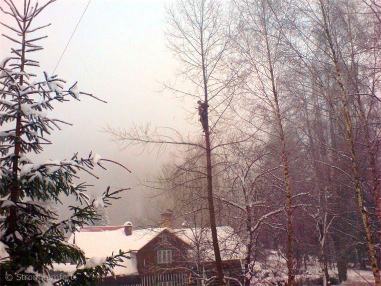 orezy-podel-vedeni-vysokeho-napeti-003.jpg
