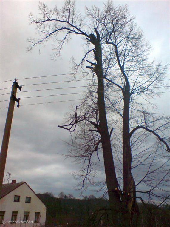 postupne-kaceni-rozpadleho-stromu-004.jpg