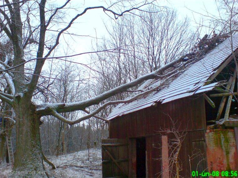 stara-rozpadla-lipa-004.jpg