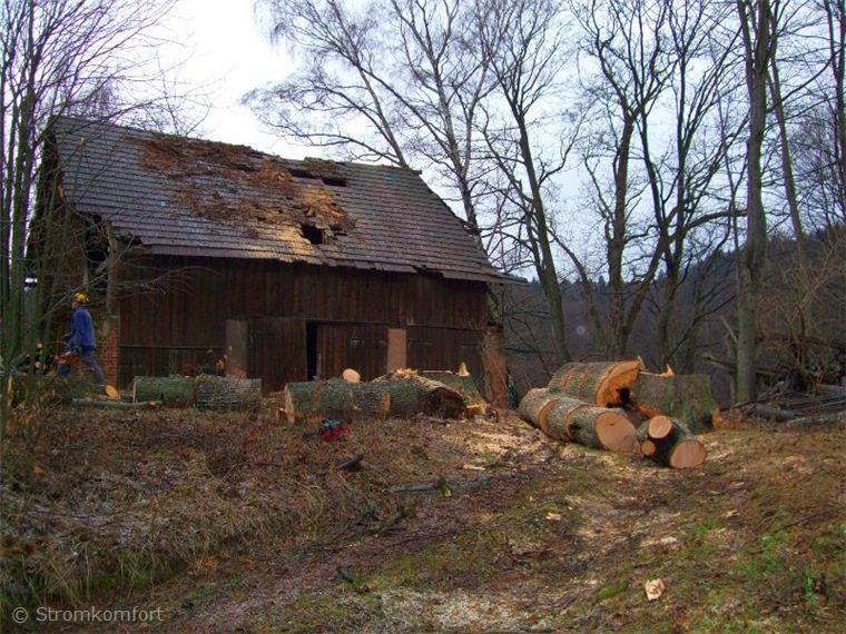 stara-rozpadla-lipa-008.jpg