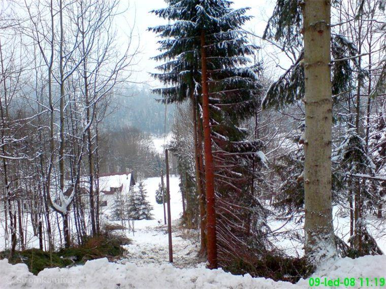zcela-prorostle-draty-vedeni-nizkeho-napeti-008.jpg