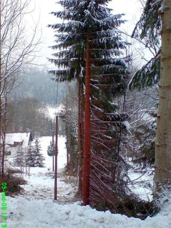 zcela-prorostle-draty-vedeni-nizkeho-napeti-009.jpg