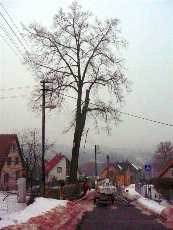 kaceni-lipy-pomoci-plosiny-liberec-002.jpg