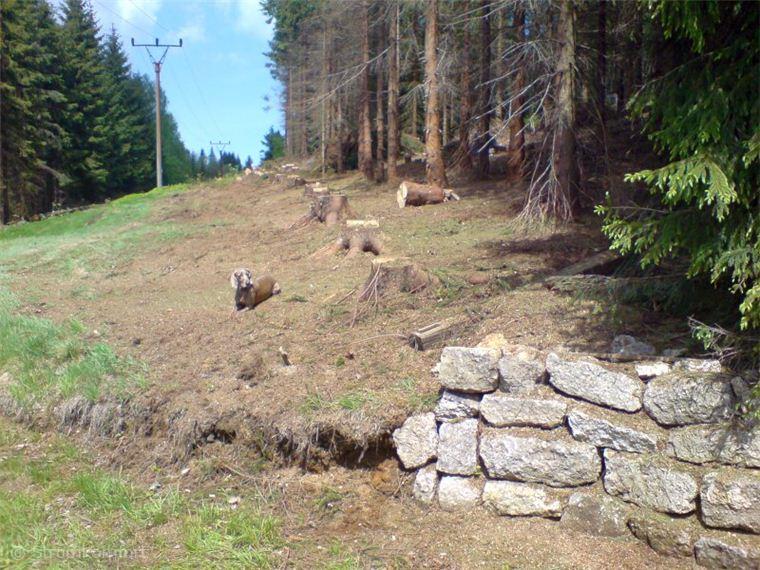 kaceni-podel-vedeni-elektrickeho-napeti-005.jpg