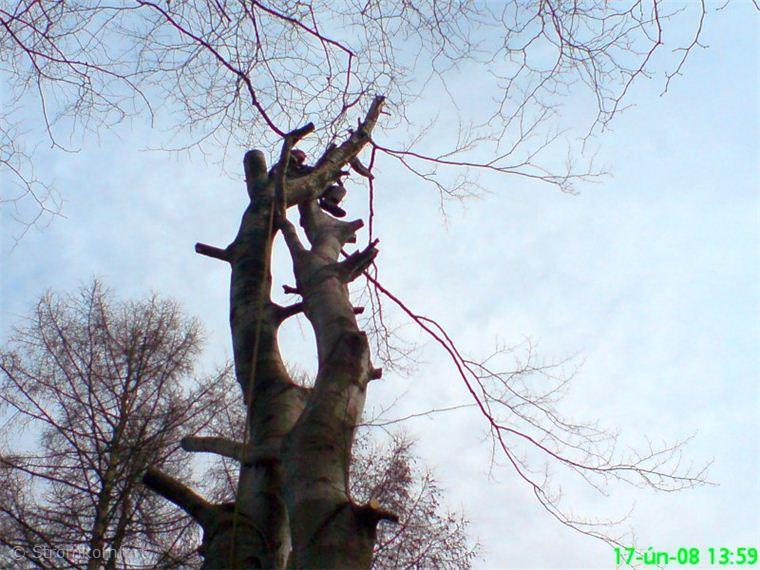 metoda-postupneho-kaceni-003.jpg
