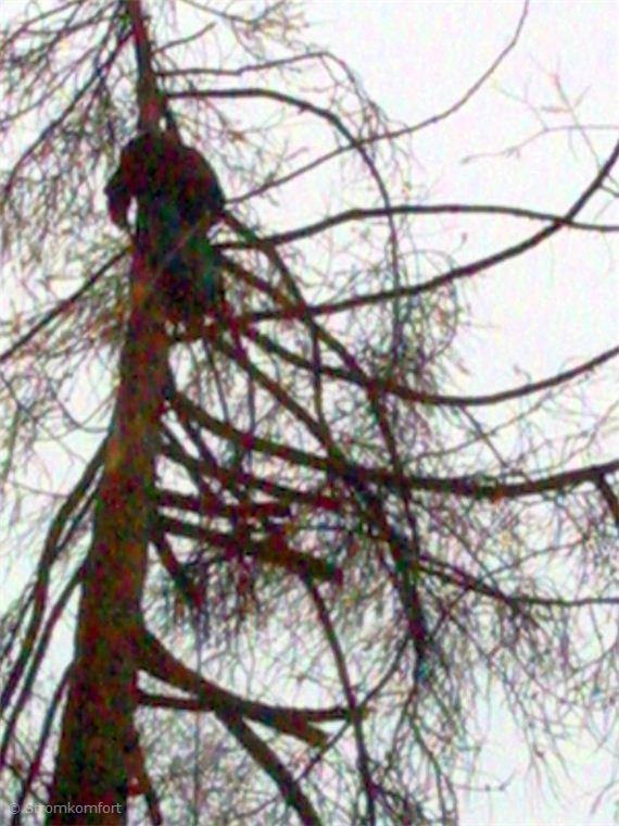 metoda-postupneho-kaceni-005.jpg