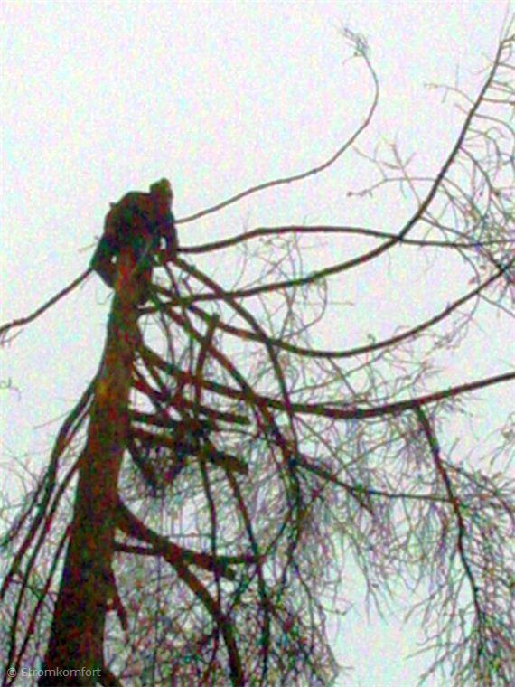 metoda-postupneho-kaceni-008.jpg