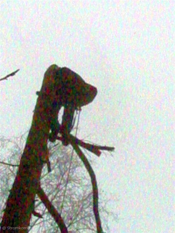 metoda-postupneho-kaceni-010.jpg