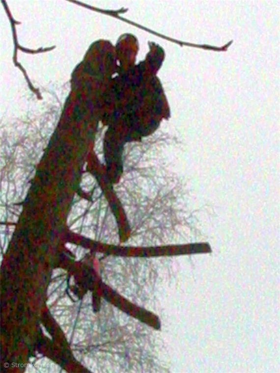 metoda-postupneho-kaceni-011.jpg