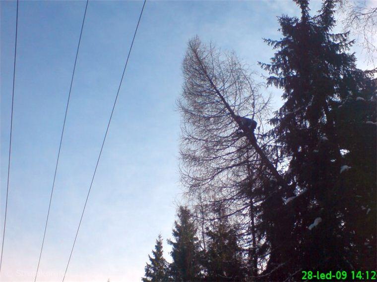 nakloneny-modrin-nad-vedenim-vysokeho-napeti-002.jpg
